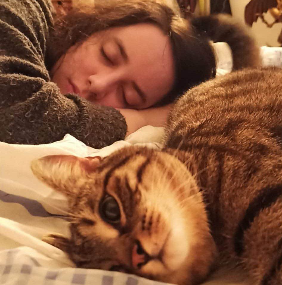 Mon chat et moi dans l'onglet mon parcours